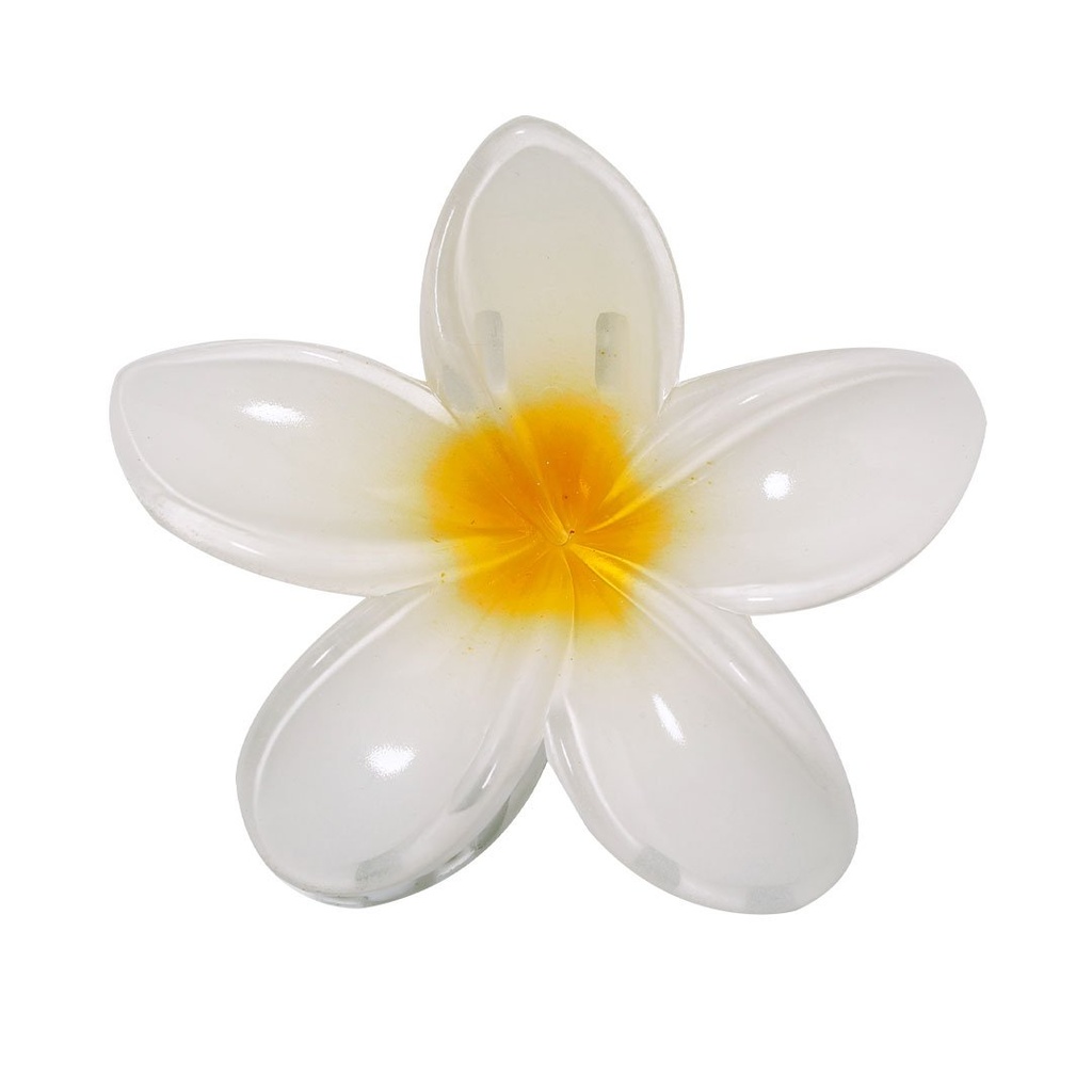 MKT - Fermaglio per Capelli Tixcon (21851)