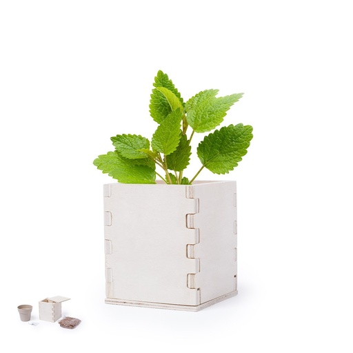 [6223] MKT - Vaso Merin (6223)