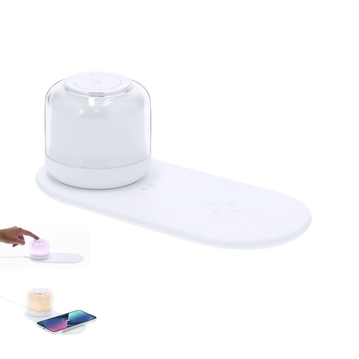 [21357] MKT - Lampada Caricatore Reginal (21357)