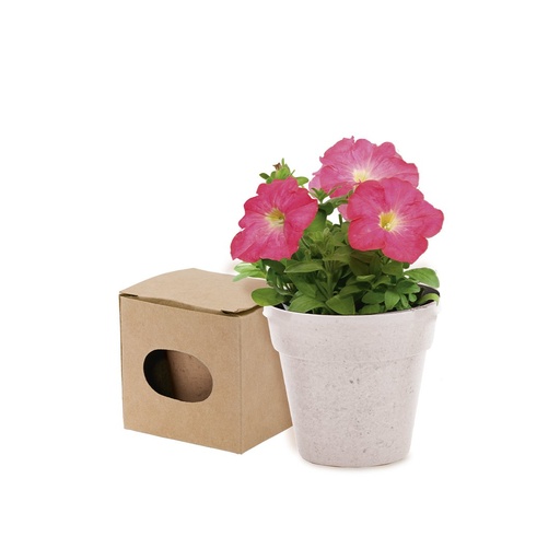 [9966] MKT - Vaso Advert (9966)