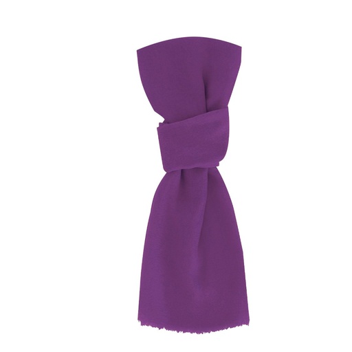 [5916] MKT - Foulard Ribban (5916)